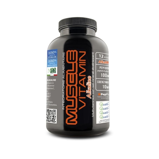 muscle vitamin web 1