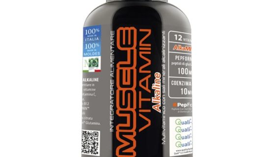 muscle vitamin web 1